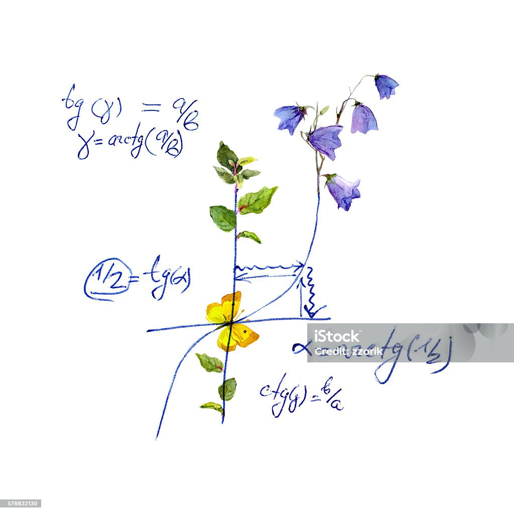 Graph Designs In Math Math Design Mathematical Graph Flowers Hand Written School Concept ...