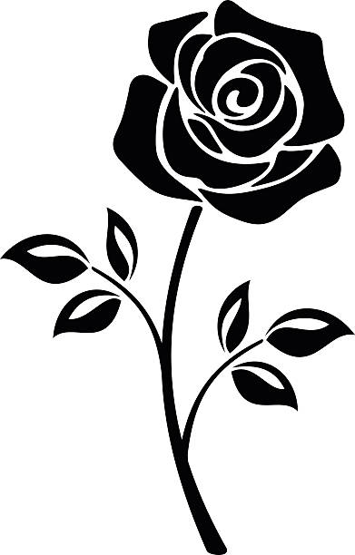 illustrations, cliparts, dessins animés et icônes de silhouette noire d’une fleur de rose. illustrations vectorielles. - rose single flower flower stem