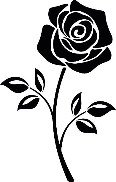 Black silhouette of a rose flower. Vector illustrations. Vector black silhouette of a rose flower with stem isolated on a white background. single flower flower black blossom stock illustrations