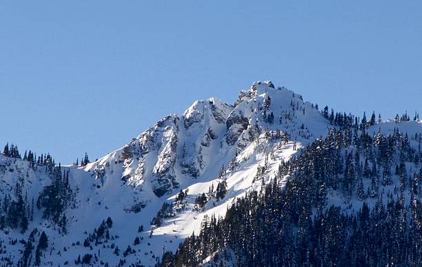 istock Snow Capped Peak In The Olympics 578837150