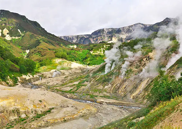 Valley of geysers on Kamchatka