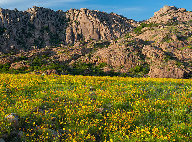 Elk Mountain and Coreopsis, Wichita Mountains, Oklahoma stock photo