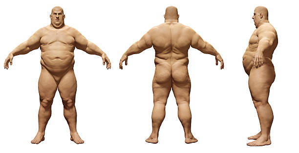 standard overweight men - rear view human arm naked men imagens e fotografias de stock