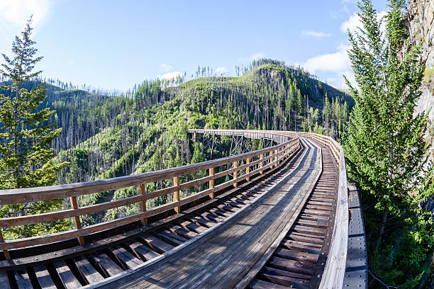 istock Historic Trestle at Myra Canyon Provincial Park, Canada 579123804