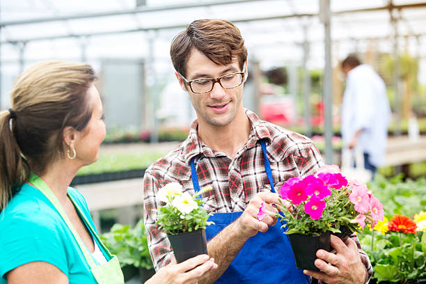 istock Handsome employee inspecting flowers in their nursery 579124684