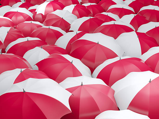 istock Umbrellas with flag of poland 579127500