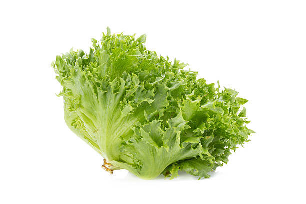 istock green frillies iceberg lettuce isolated on white background 579128002