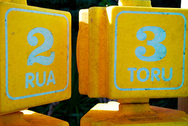 istock Counting Blocks in Numbers and Te Reo on Kids Park 579128634