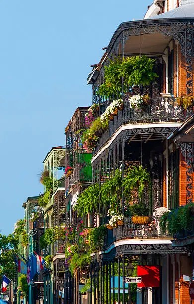 Photo of French Quarter Buildings with Garden Terraces
