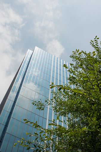 Modern office building against cloudy sky. The façades reflect blue sky and white clouds. Low angle view of the high rise building with a tree.