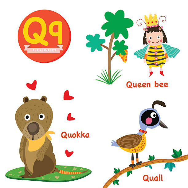 Q Vocabulary Stock Illustration - Download Image Now - Letter Q, Queen Bee,  Alphabet - iStock