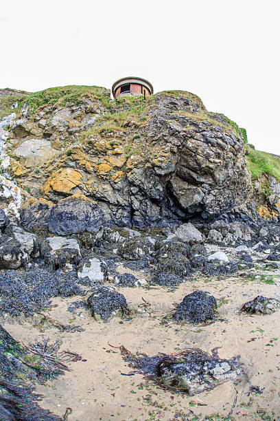 istock Rocks and beach on the Ireland coast 579131602