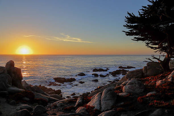 istock sunset at 17-mile drive, Pebble beach, California 579134358