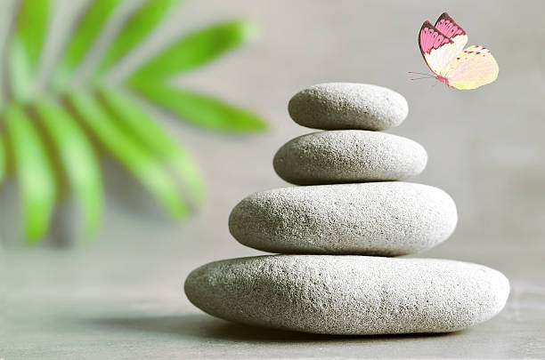 istock Stones balance and palm on grey background. 579134508