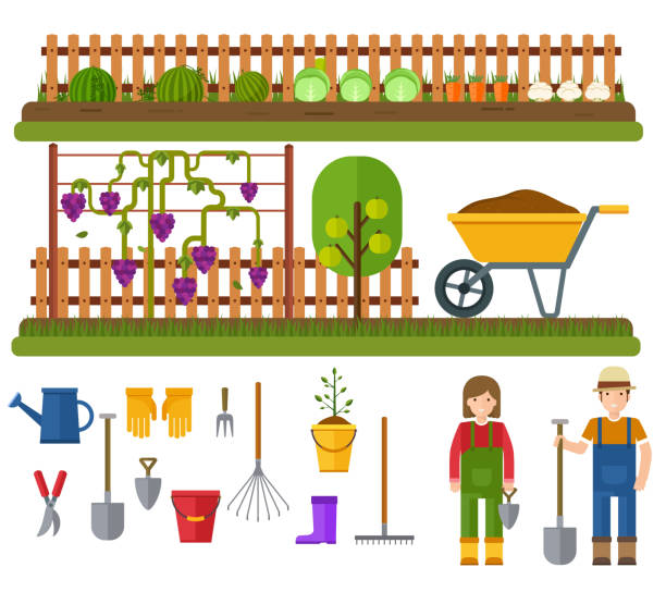 Gardening set, rural landscape with garden. Garden work tools. Gardening set, rural landscape with garden. Garden work tools. Garden with fruit  trees, vegetable, vineyards and trees. trowel gardening shovel gardening equipment stock illustrations