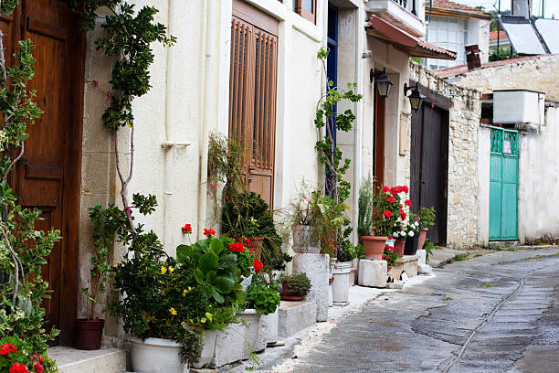 istock Pots with flowers near white wall 579139588