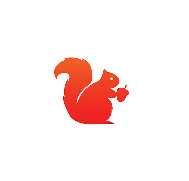 Squirrel icon Vector illustration of squirrel isolated on a white backgrounds. squirrel stock illustrations