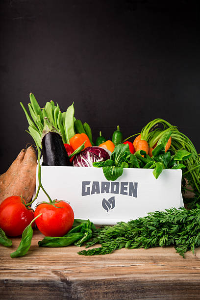 frisch von der ernte gemüse - suppengrün imagens e fotografias de stock