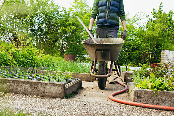 un giovane lavora in giardino - kleingarten foto e immagini stock