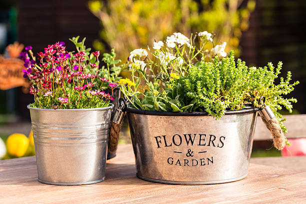 molti vasi di fiori sono sul tavolo del giardino - kleingarten foto e immagini stock