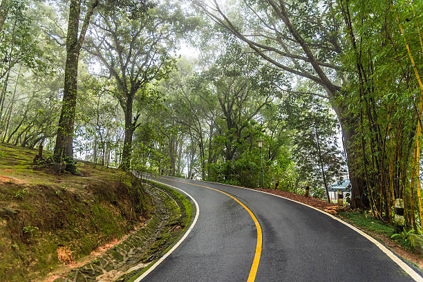 istock Curve road up hill in misty forest. 579145426