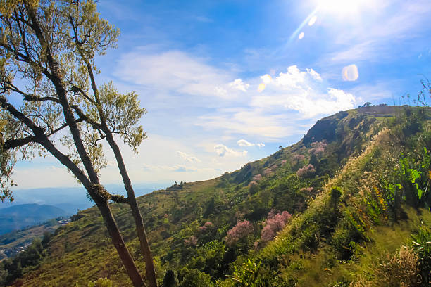 istock Phu Tub Berk Viewpoint,Phu Hin Rong Kla 579149816