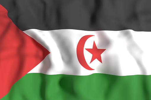 3d rendering of Sahrawi Arab Democratic Republic flag waving