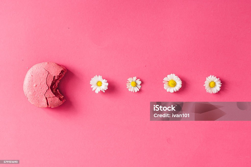 Macarron con margaritas sobre fondo rosa - Foto de stock de Galleta de almendra libre de derechos