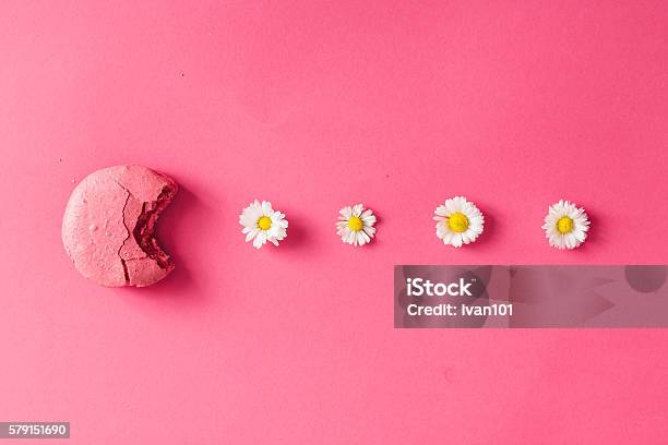 Macarron Con Margaritas Sobre Fondo Rosa Foto de stock y más banco de imágenes de Galleta de almendra - Galleta de almendra, Rosa - Color, Comida gourmet