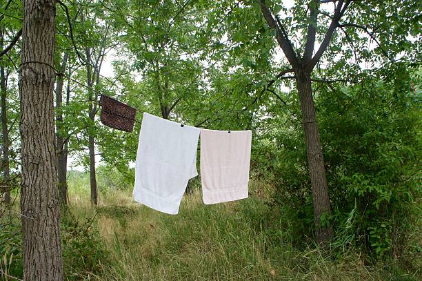istock Towels Hanging on a Clothesline 579153102