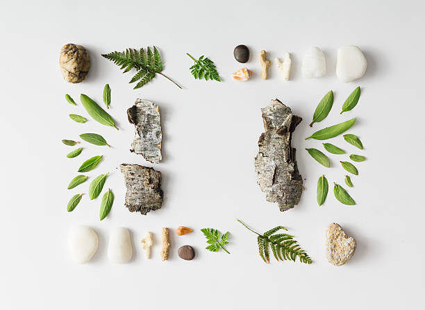 istock Creative natural layout made of leaves, stones, and tree bark. 579153410
