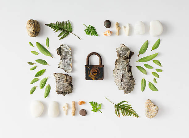 istock Creative natural layout made of leaves, stones, and tree bark. 579153452