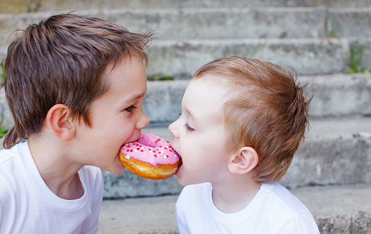 two boys together bite from the donut. children enjoy a donut with strawberry frosting. divide the a donut in half. feeding game for party