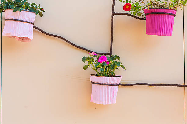 istock Pink decoration plants on an orange wall 579156112