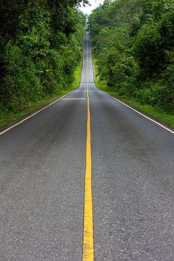 The road on the Khao Yai National Park in Thailand.