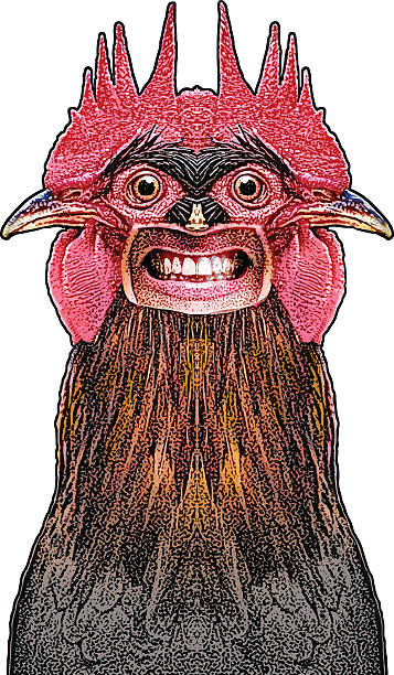 illustrations, cliparts, dessins animés et icônes de créature coq bizarre - bizarre illustrations