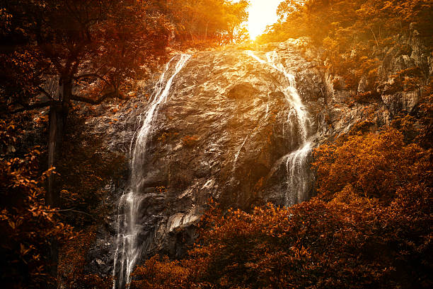 khlong lan 폭포 태국의 자연 명소. - awe beauty in nature waterfall cool 뉴스 사진 이미지