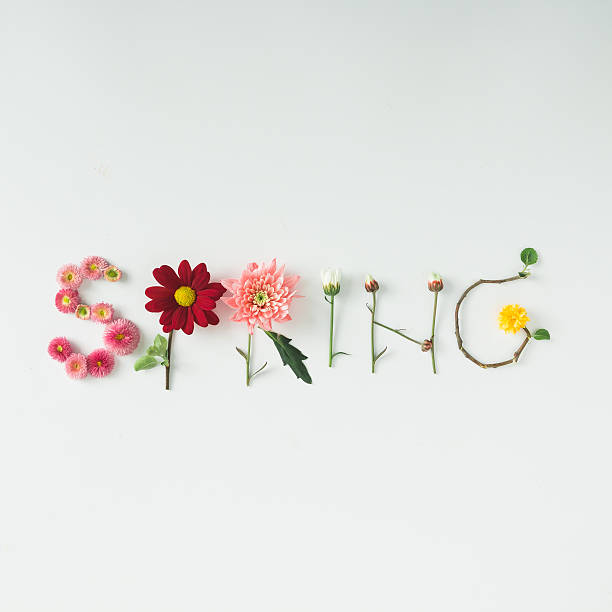 istock Word 