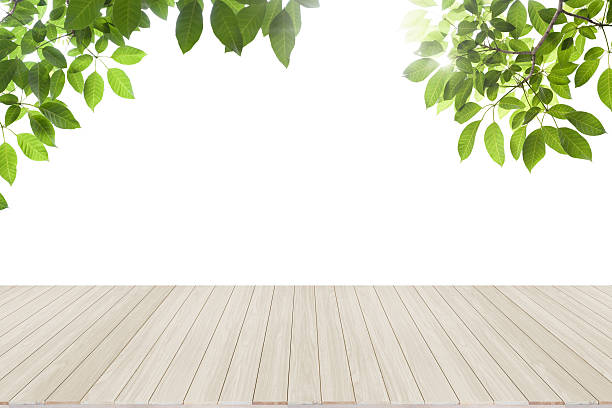 istock Fresh spring green leaves with wood floor 579158788