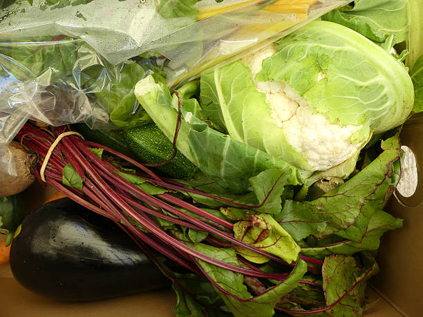 istock Organic vegetables in vegetable box - closeup 3 579160674