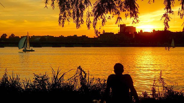 mann genießt den sonnenuntergang - contemplation silhouette tree men stock-fotos und bilder