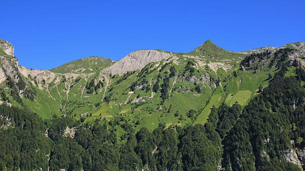 istock Steep farmland in Glarus Canton, Swiss Alps 579163464