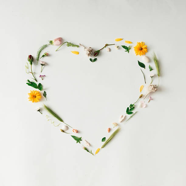istock Heart symbol made of various natural things. 579163518