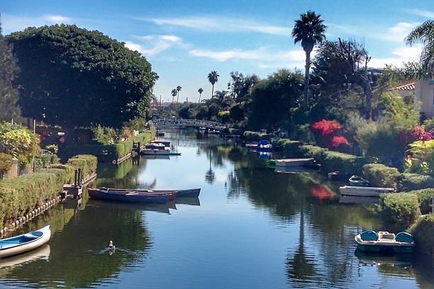 istock Lone Seagull Swimming Venice Canals 579164382