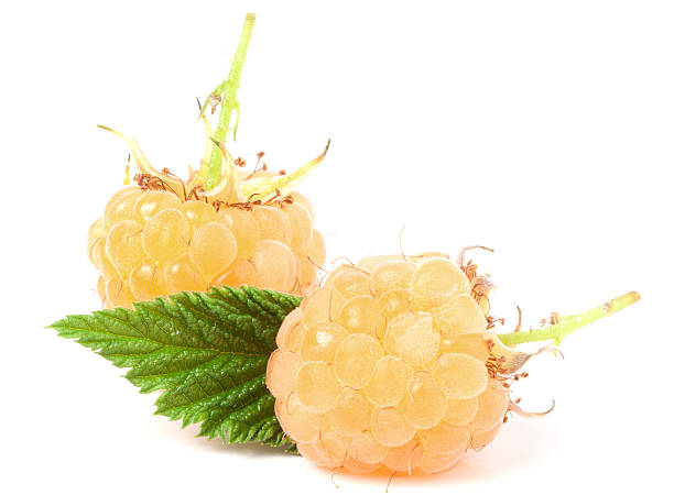 istock yellow raspberries with leaf isolated on white background macro 579221750