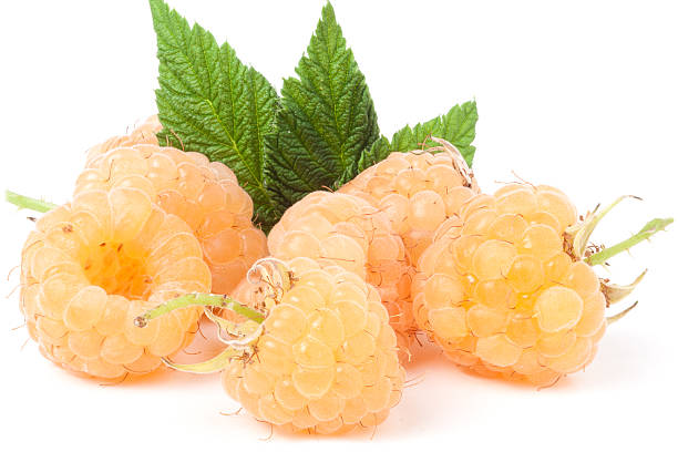 istock yellow raspberries with leaf isolated on white background macro 579221786