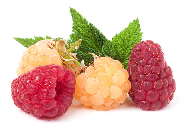 istock red and yellow raspberries with leaves on a white background 579221810