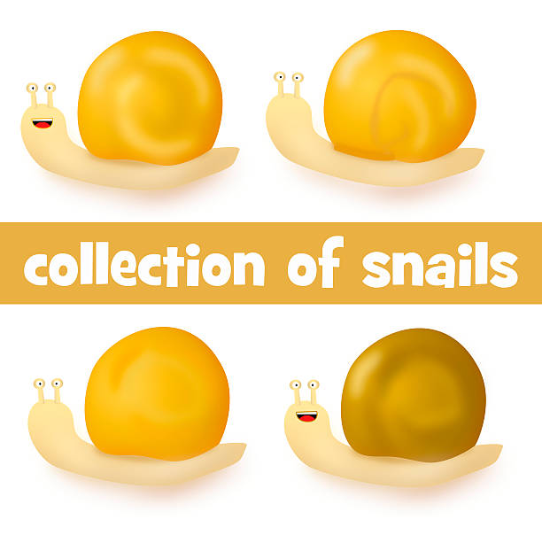 Collection of four cartoon cute snails stock photo