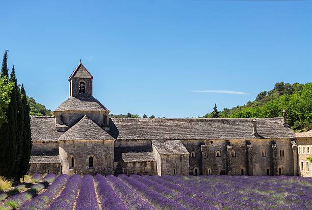 istock Lavender bloom in front of a Abbey in Provence (France). 579223620