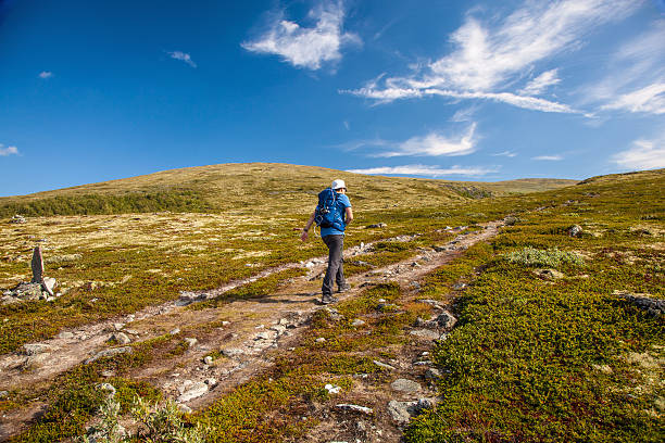 istock hiker with backpack traveling in Norway mountains Dovre 579225464